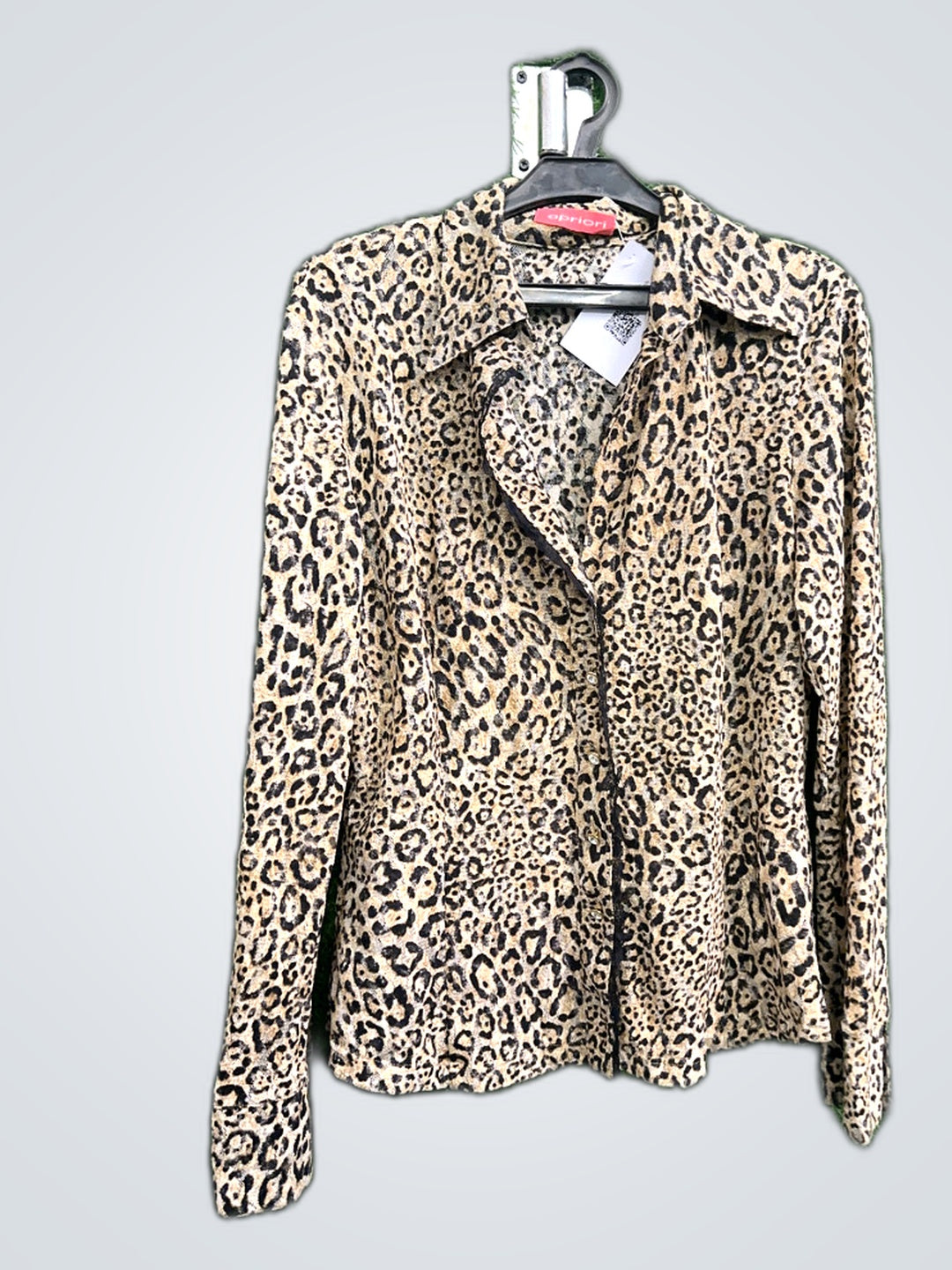 A descriptive alt text for this image