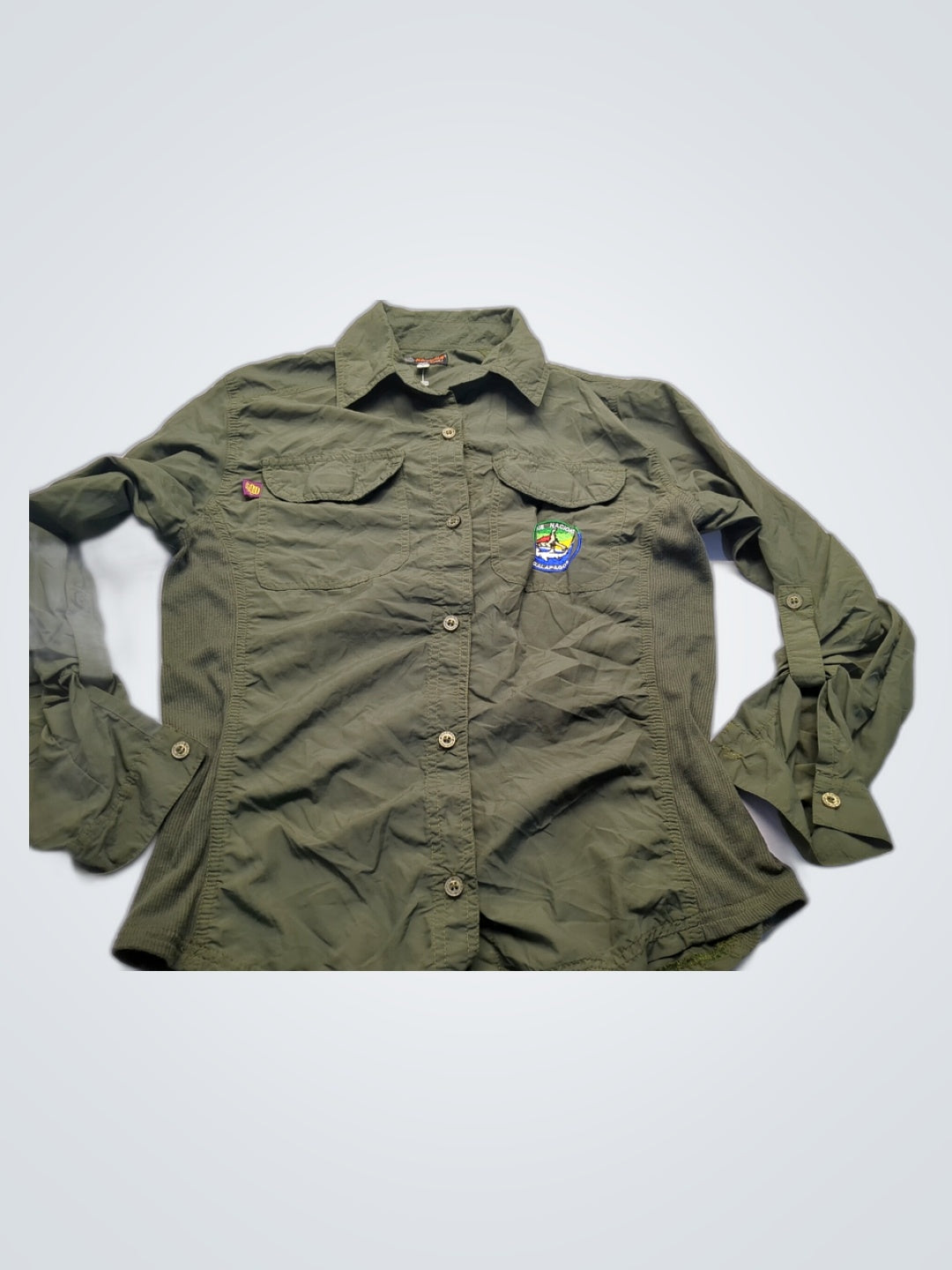 A descriptive alt text for this image