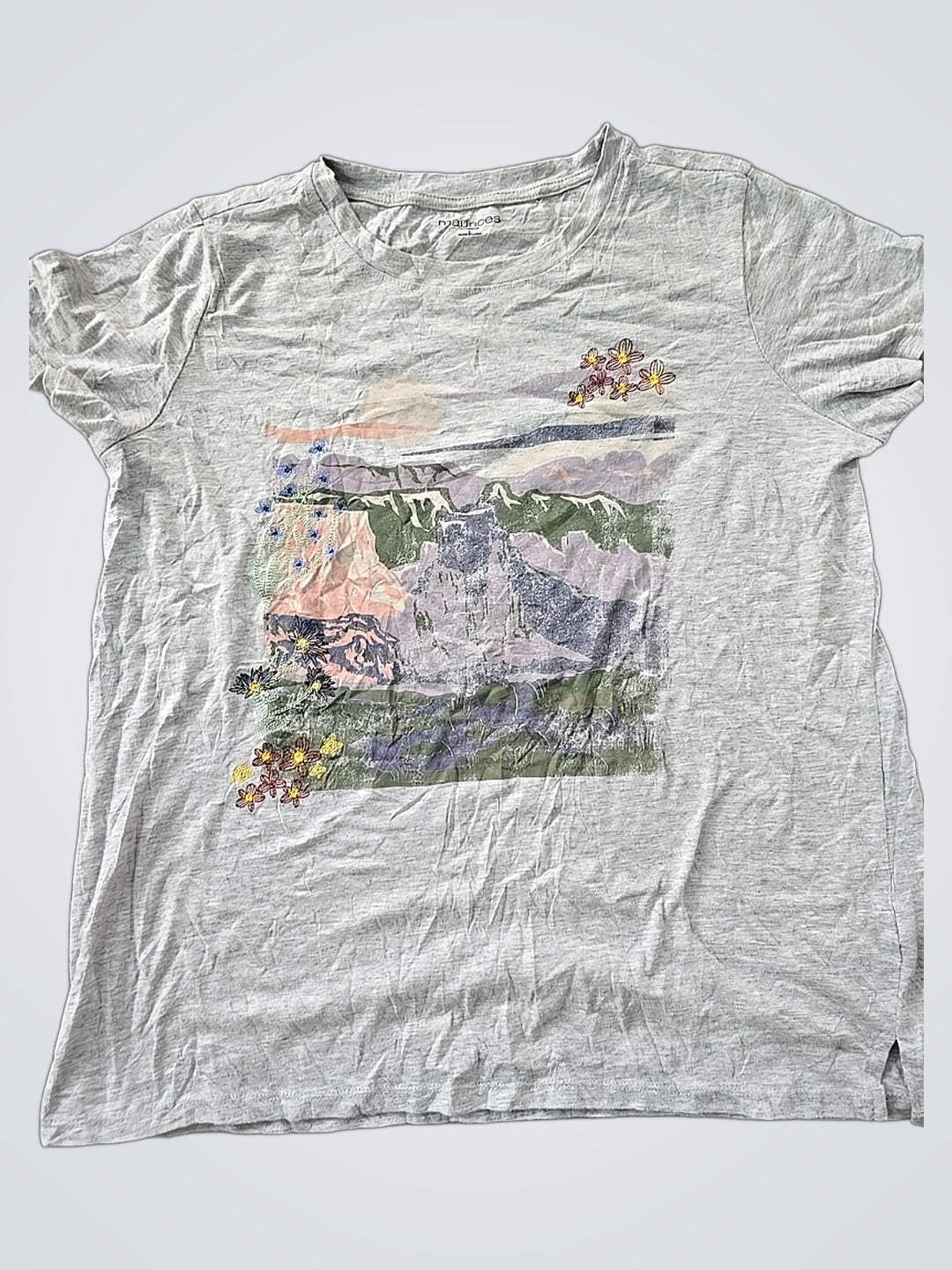 A descriptive alt text for this image
