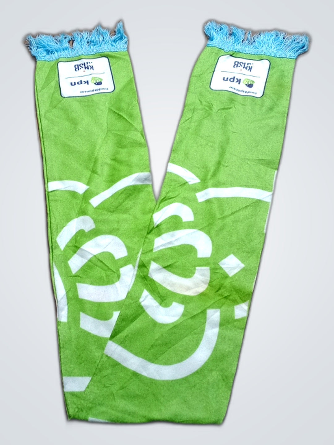 A descriptive alt text for this image