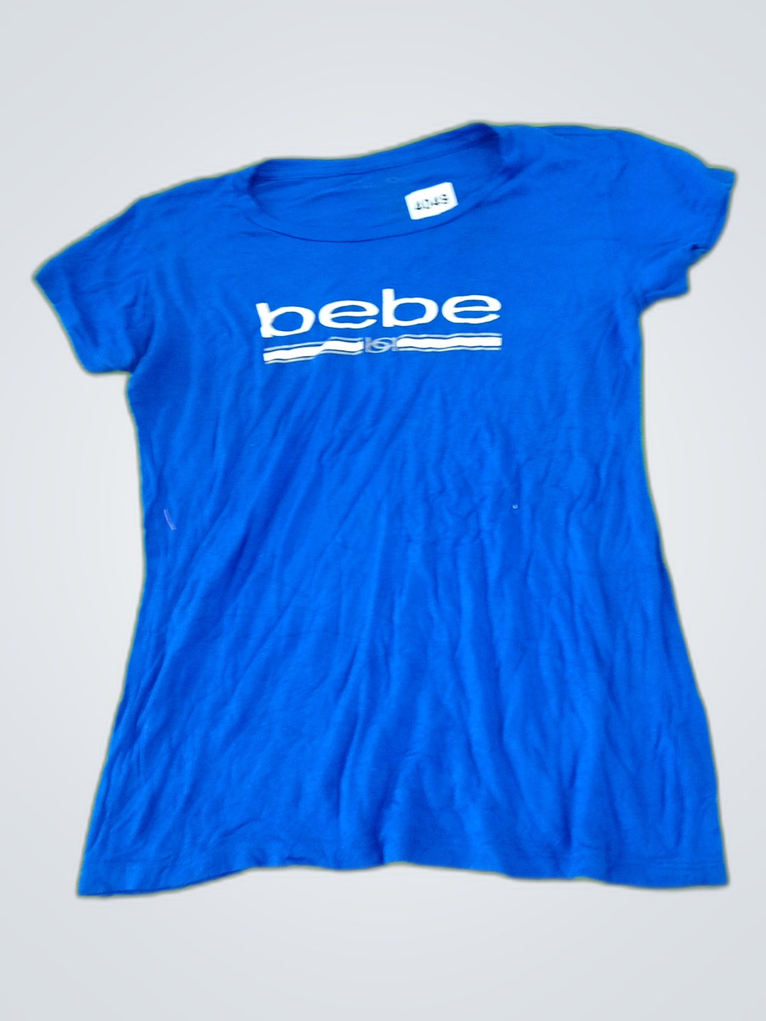 A descriptive alt text for this image