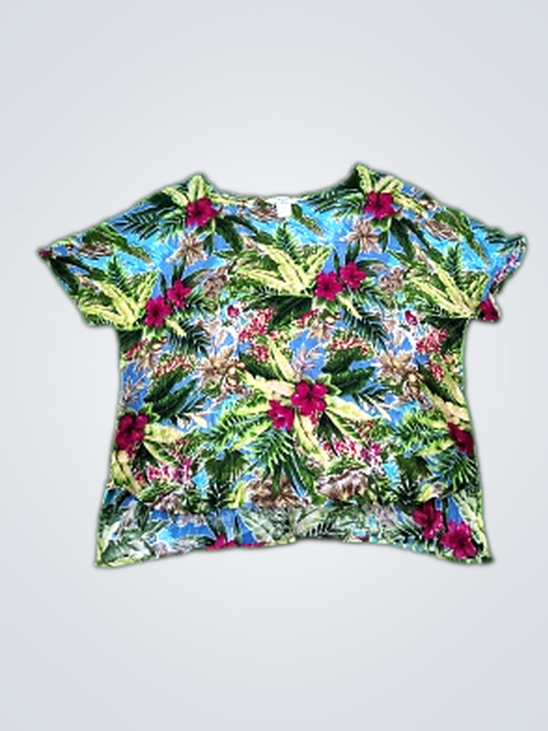 A descriptive alt text for this image