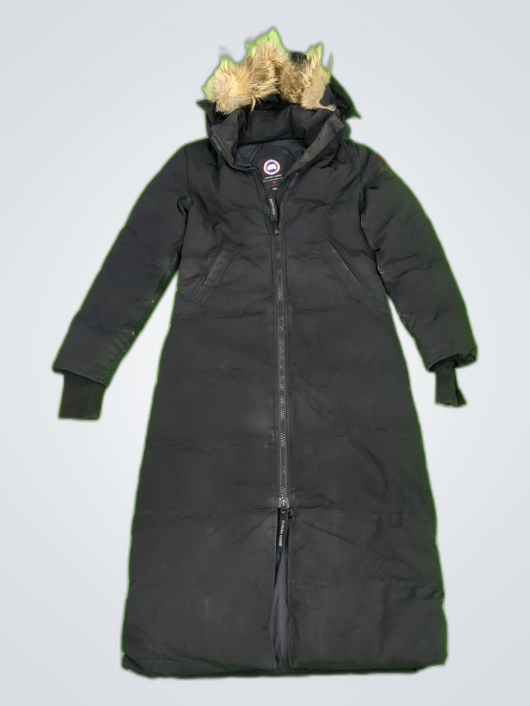 A descriptive alt text for this image