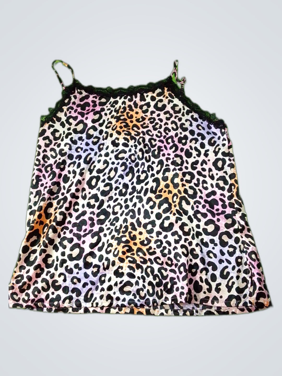 A descriptive alt text for this image