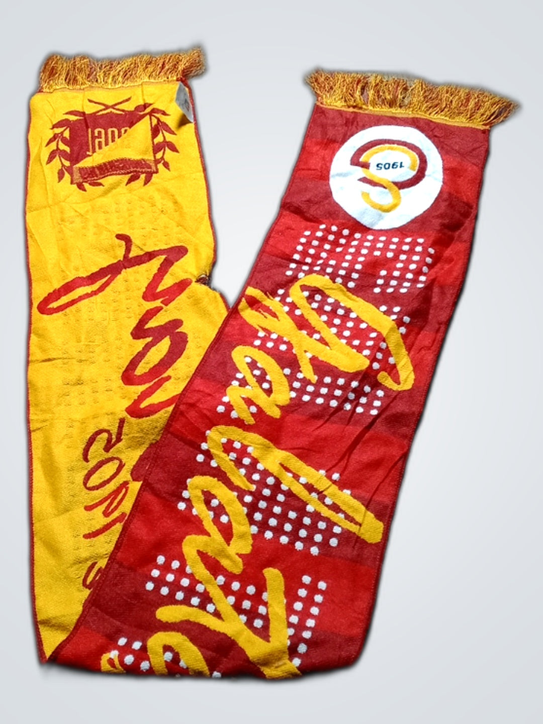 A descriptive alt text for this image