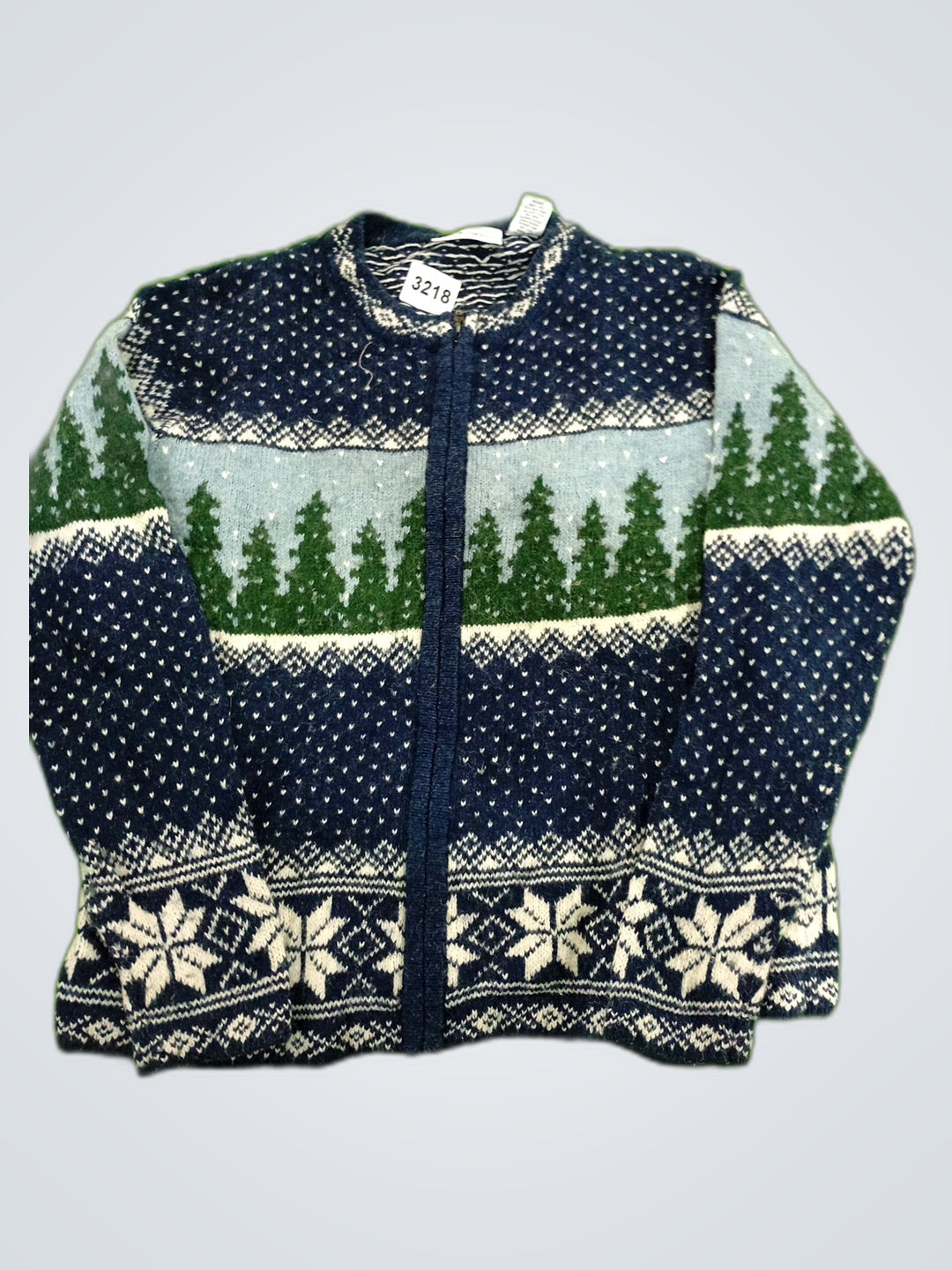 A descriptive alt text for this image