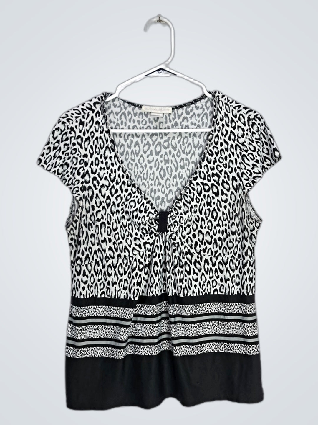 A descriptive alt text for this image