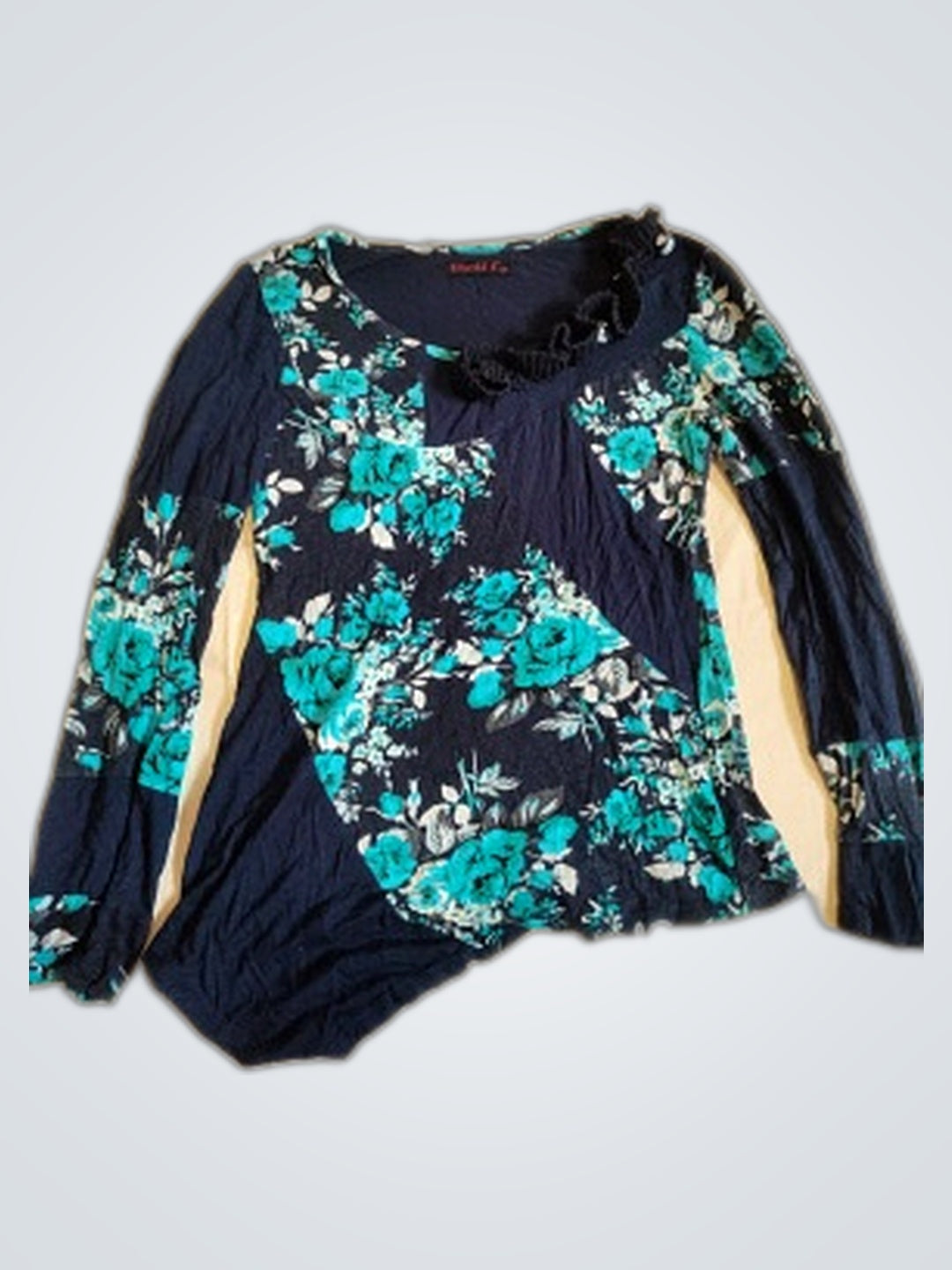 A descriptive alt text for this image