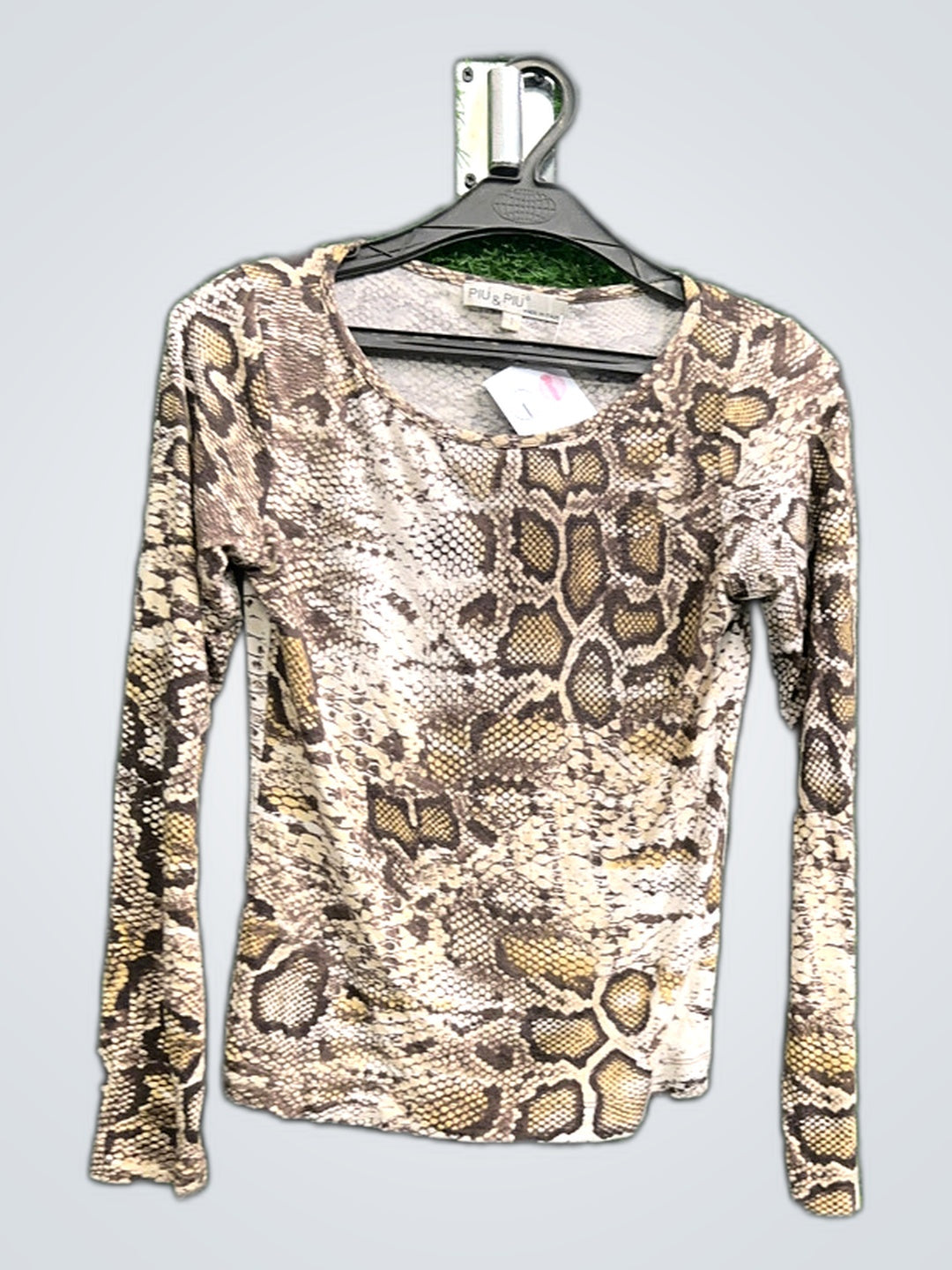 A descriptive alt text for this image