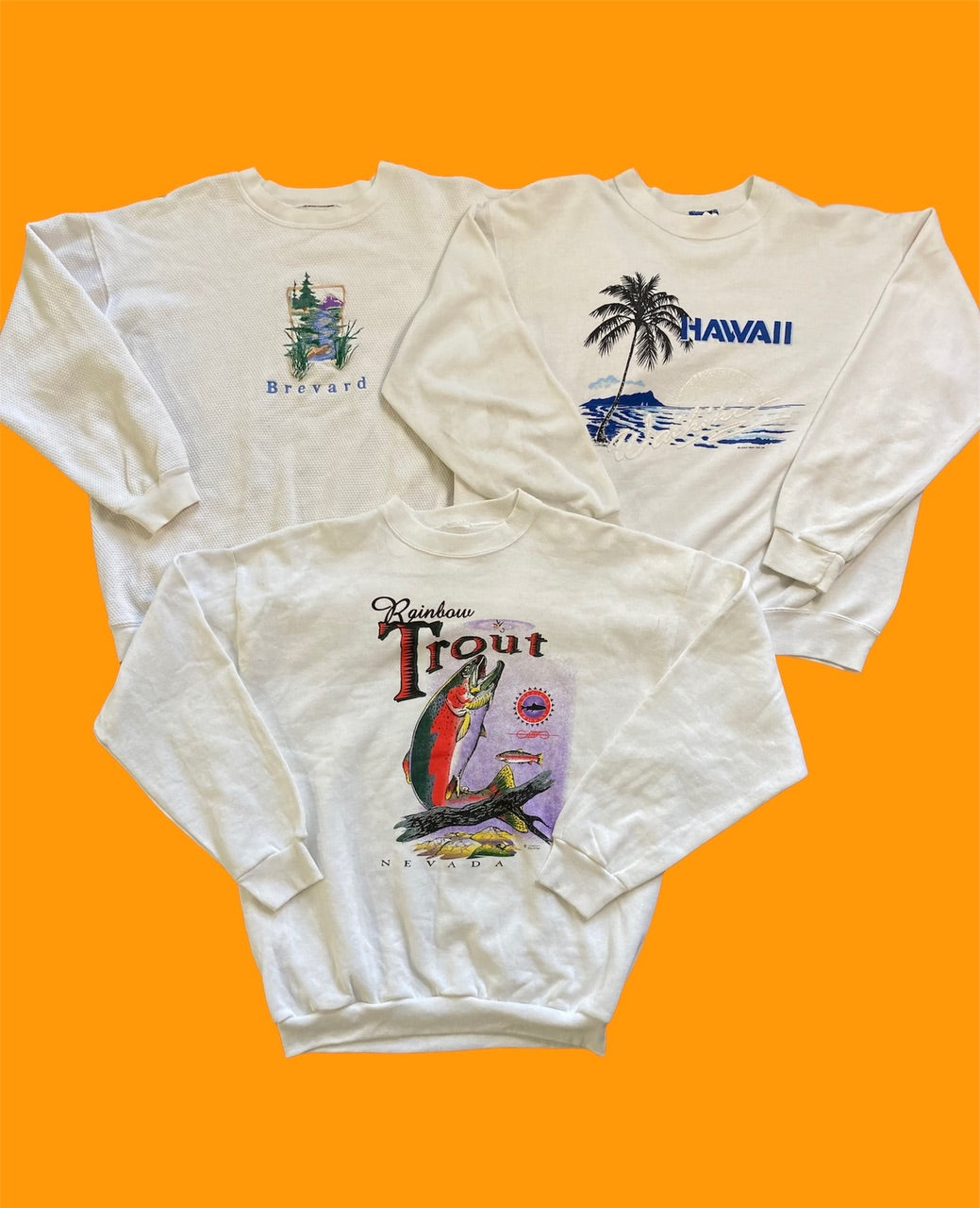Vintage Mens Graphic Crewneck Sweatshirt 80s 90s Bundle (25 Piece)
