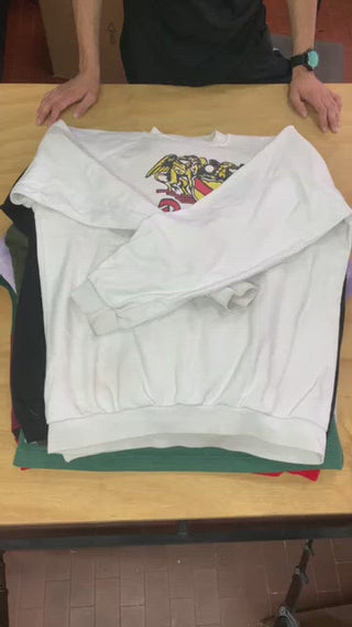 European sweatshirts box (18kg)