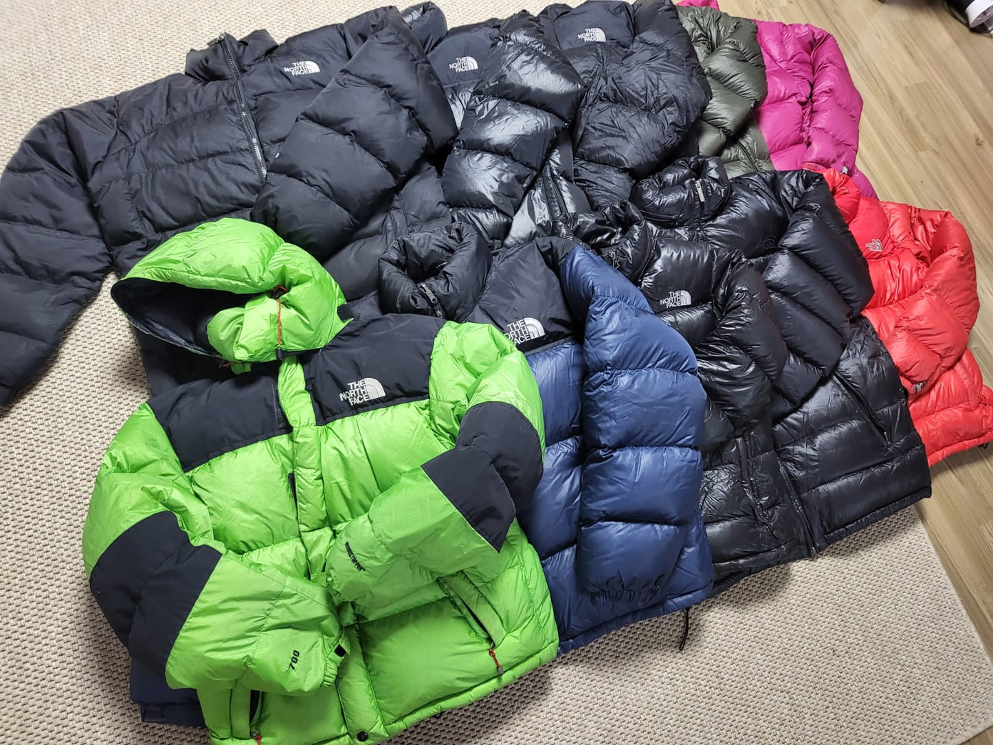 TNF Puffers Bundle (20 pcs)