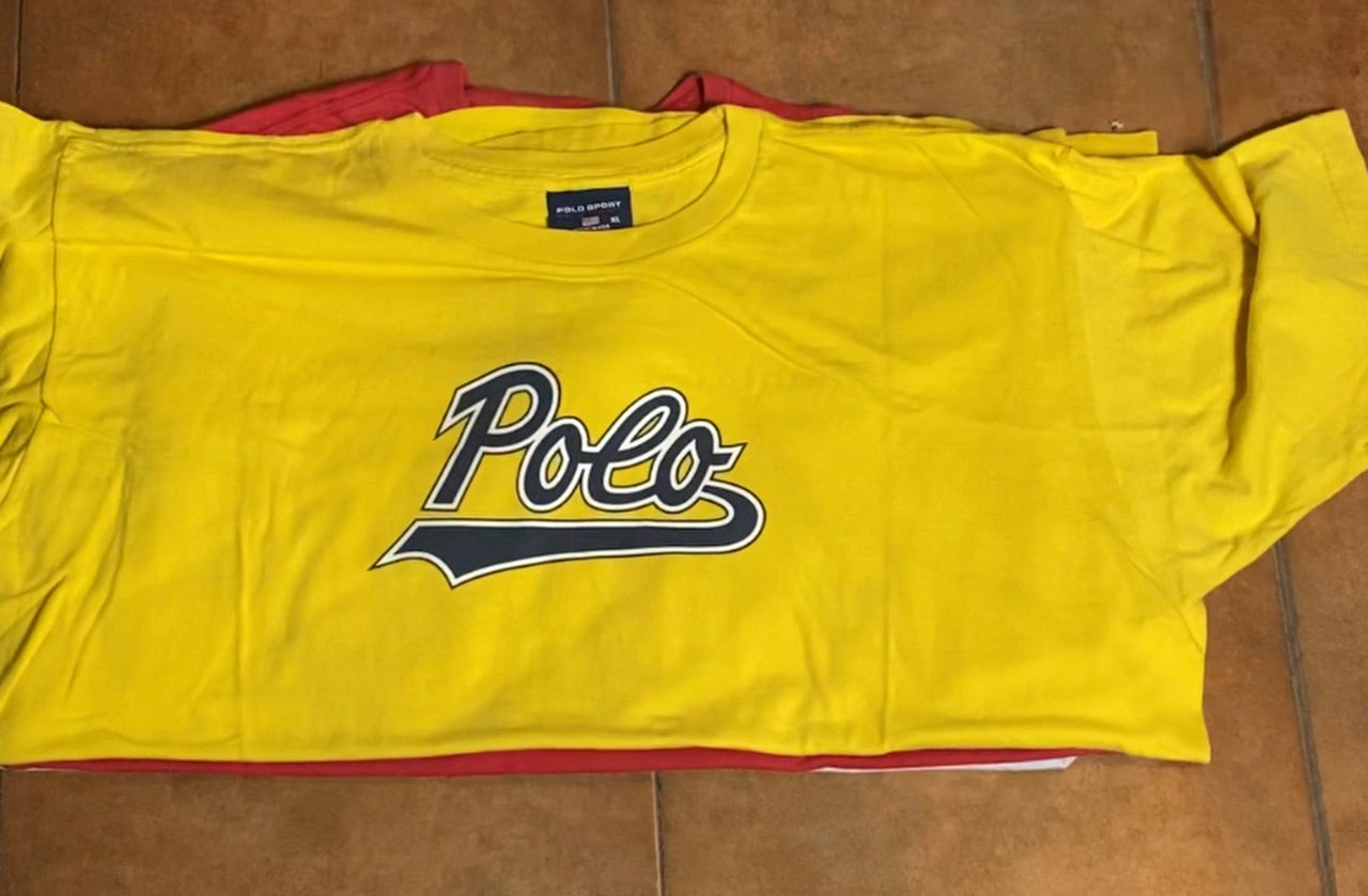 Premium polo sports and branded T-shirts 21 pcs