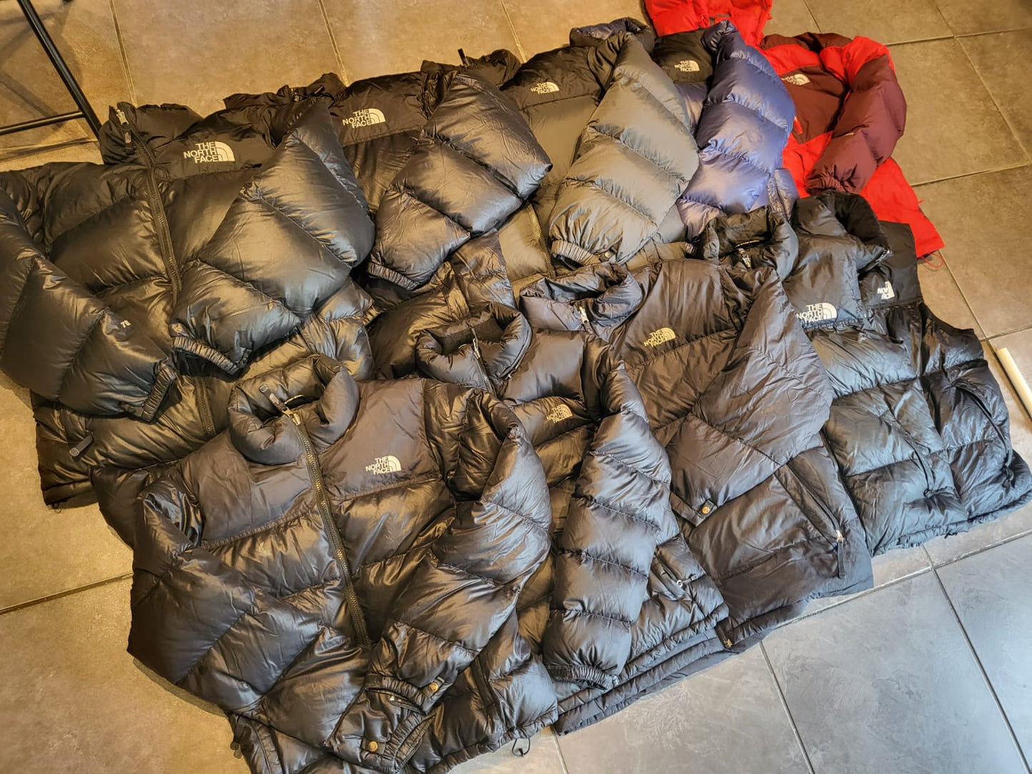 TNF Puffers Bundle (20 pcs)