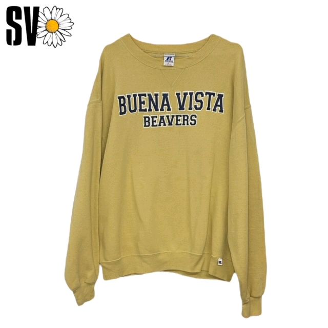 USA University sweatshirts bundle (10 pieces)