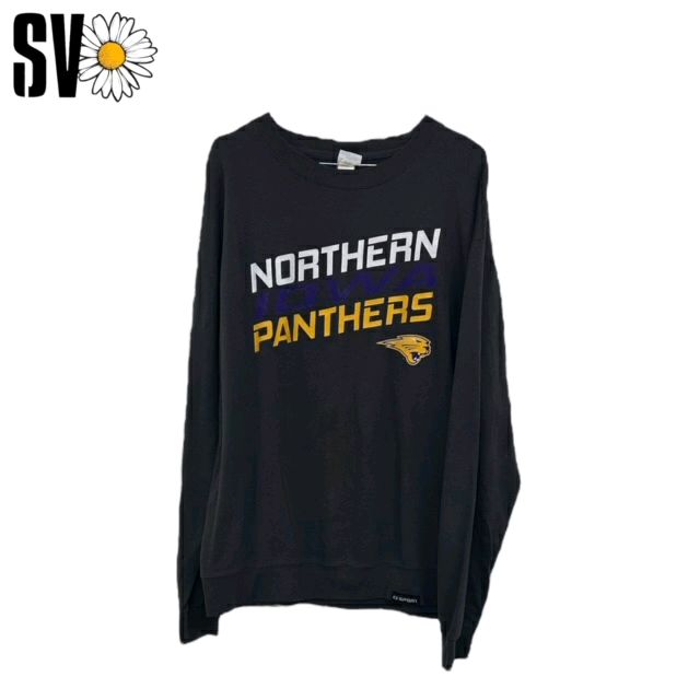 USA University sweatshirts bundle (10 piecees)