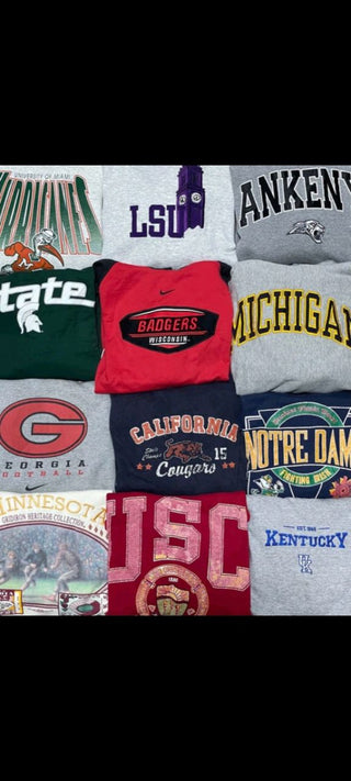 College/University Sweatshirts - 50 pieces